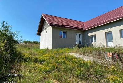 Casă cu 4 camere cu Teren 1500 Mp în Ineu - 6