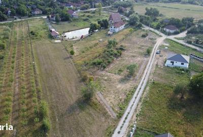 Teren de 500 mp, în Viile Satu Mare