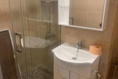 Apartament cu 2 camere decomandat în Lujerului - 4