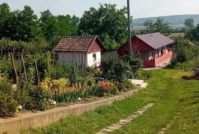 Casă cu 2 camere cu Teren 3500 Mp în Central