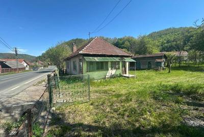 Casă cu 4 camere în Zdrapți - 4