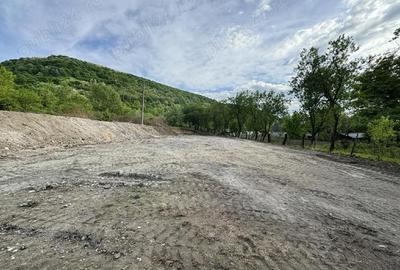 Teren de 8000 mp, în Păuliș - 2