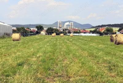 Teren de 12000 mp, în Ierbuș - 9