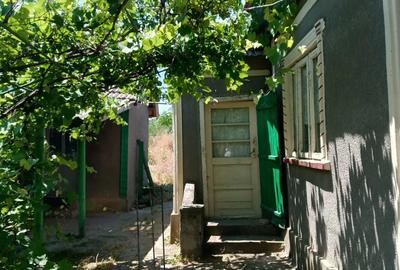 Casă cu Teren 4800 Mp în Mihail Kogălniceanu - 2