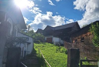 Casă cu 3 camere cu Teren 2430 Mp în Berevoești - 3