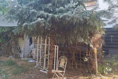Teren de 257 mp, în Central