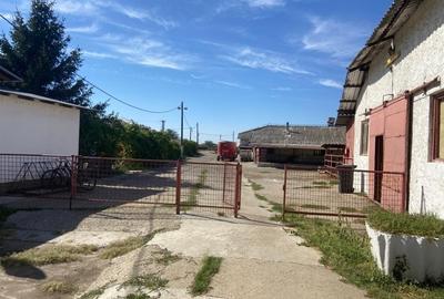 Proprietate specială, de 370,000 mp, în Cotorca - 3