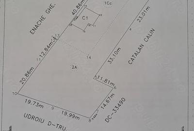 Casă cu Teren 2323 Mp în Cartojani - 2