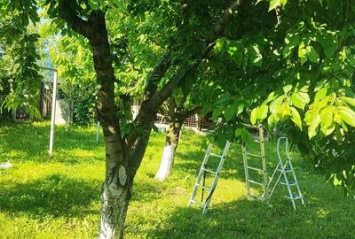 Casă cu Teren 3500 Mp în Vânători-Neamț - 1