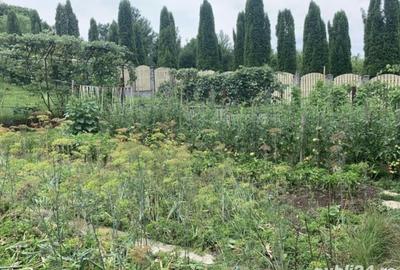 Casă cu 5 camere cu Teren 700 Mp în Goranu