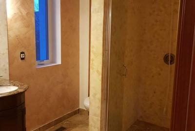 Spațiu comercial, de 450 mp, în Tăuți - 12