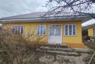 Casă cu Teren 4800 Mp în Stoișești - 1