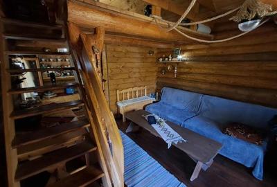 Casă cu 1 camere cu Teren 1100 Mp în Surduc - 3
