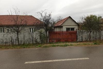 Casă cu Teren 2500 Mp în Vadu Pașii