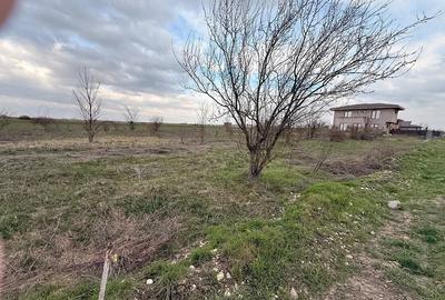 Teren de 652 mp, în Domnești