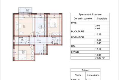 Apartament cu 3 camere decomandat în Sânpetru - 9