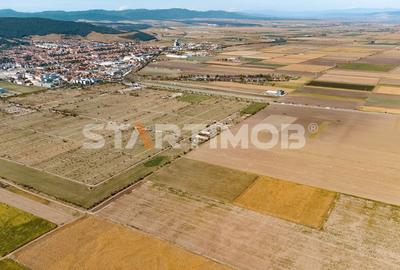 Teren Construcții intravilan de 13750 mp, în Sud-Est - 5