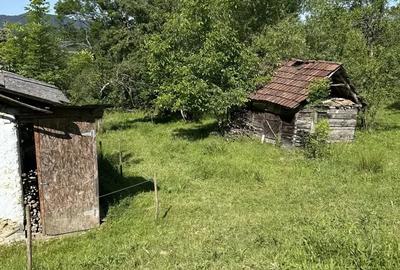 Casă cu 2 camere în Central - 3