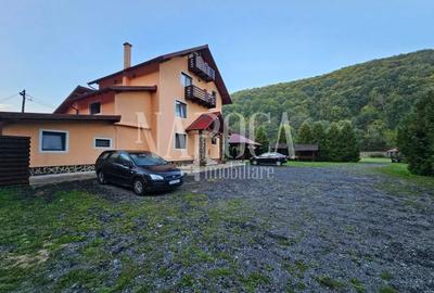 Casă individuală cu 19 camere cu Teren 9669 Mp în Mărgău - 26