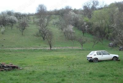 Teren în Gară - 2