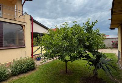 Casă individuală cu 5 camere cu Canalizare în Dascălu - 9