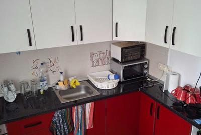 Apartament cu 3 camere decomandat în Terezian - 4