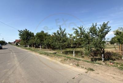 Teren Construcții intravilan de 1404 mp, în Carei - 6
