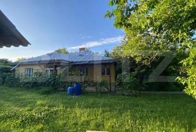 Casă cu 3 camere cu Teren 1848 Mp în Păun - 3