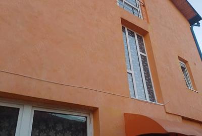 Casă cu 4 camere cu Teren 312 Mp în Valea Rosie - 2