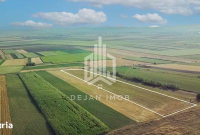 Teren de 19000 mp, în Ghidfalău