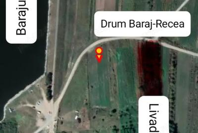 Teren de 6300 mp, în Recea - 1