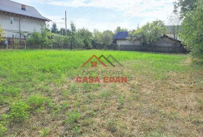 Casă cu Teren 1116 Mp în Mușcel - 4
