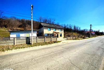 Spațiu comercial, de 140 mp, în Negreni - 1