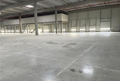 Spațiu industrial, de 5,500 mp, în Apahida - 4