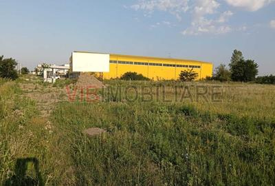 Teren intravilan de 11600 mp, în Ghiroda