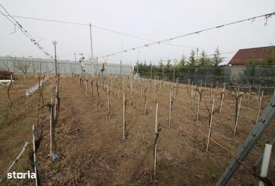 Casă cu 4 camere cu Teren 860 Mp în Vânători
