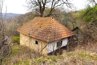 Casă cu 2 camere în Boiu