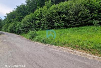 Teren intravilan de 500 mp, în Bunloc - 6