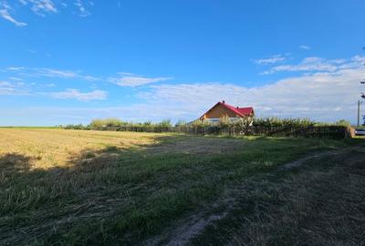 Teren de 11000 mp, în Lăceni - 7