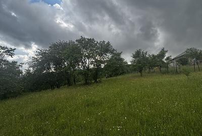 Spațiu comercial, în Preluca Veche - 9
