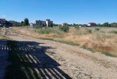 Teren Construcții intravilan de 1500 mp, în Domnești - 8