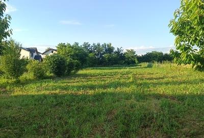 Teren Construcții intravilan de 6400 mp, în Joița - 14