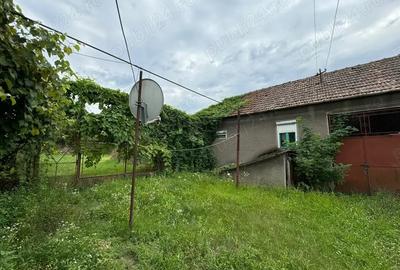 Casă cu 2 camere în Strei - 3