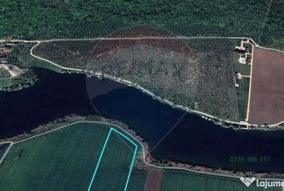 Teren de 17799 mp, în Moara Vlăsiei - 2