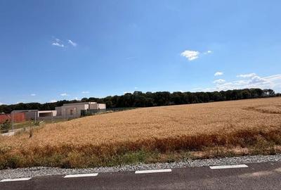 Teren de 5032 mp, în Ciolpani