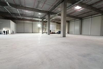 Spațiu industrial, de 24,000 mp, în Sud-Est - 3
