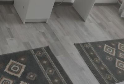Apartament cu 3 camere decomandat în Traian - 3