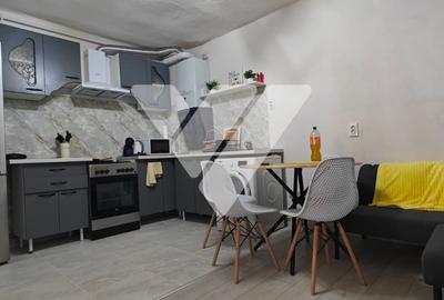 Apartament cu 2 camere nedecomandat, mobilat în Central
