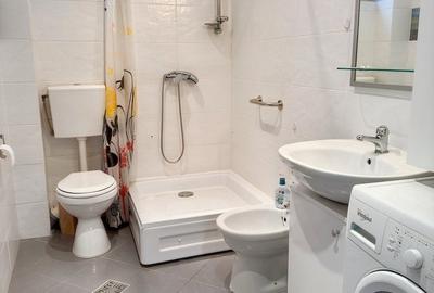 Apartament cu 2 camere semidecomandat, mobilat în Drumul Taberei - 10