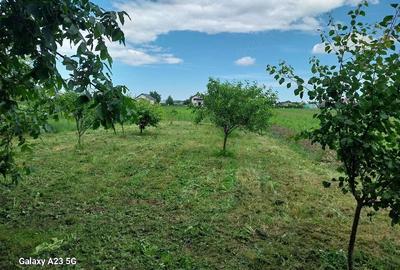 Casă cu Teren 1200 Mp în Zănești - 7